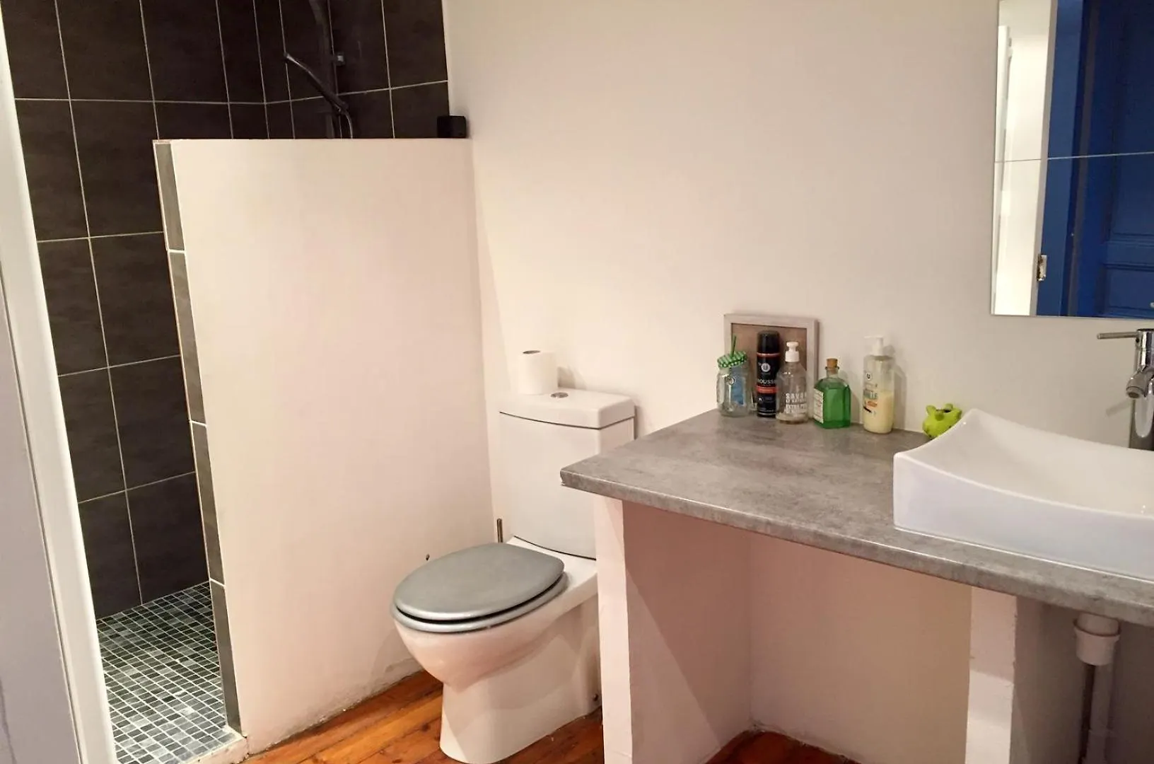 La Capucine Villa Cavaillon Holiday home