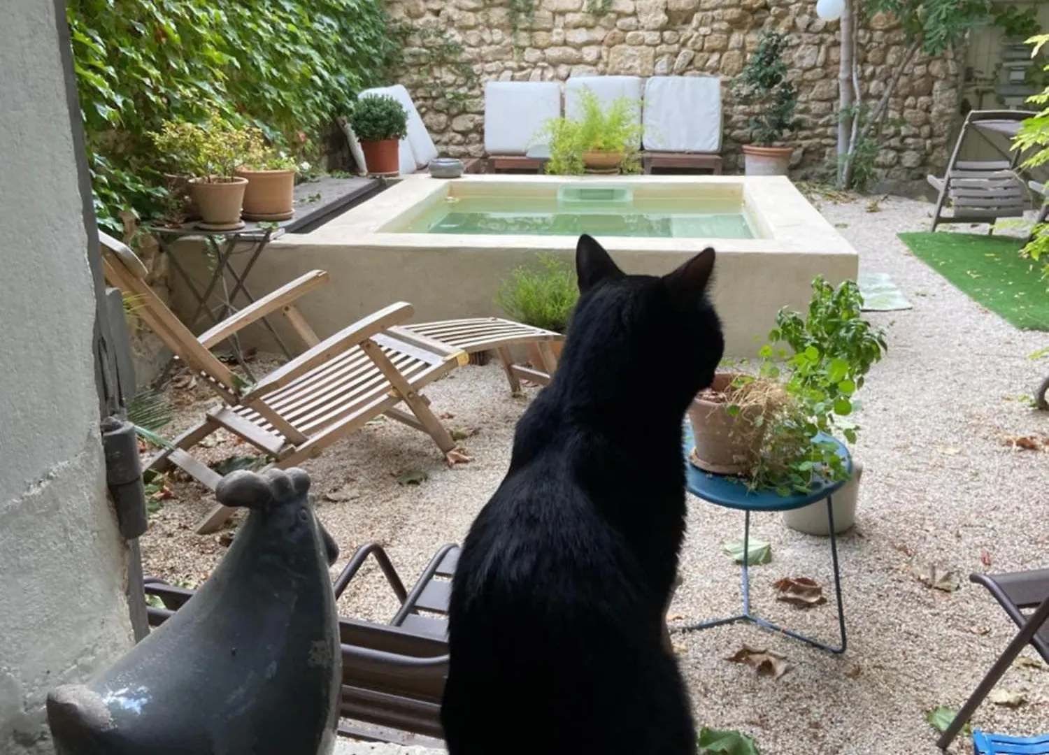 La Capucine Villa Cavaillon France